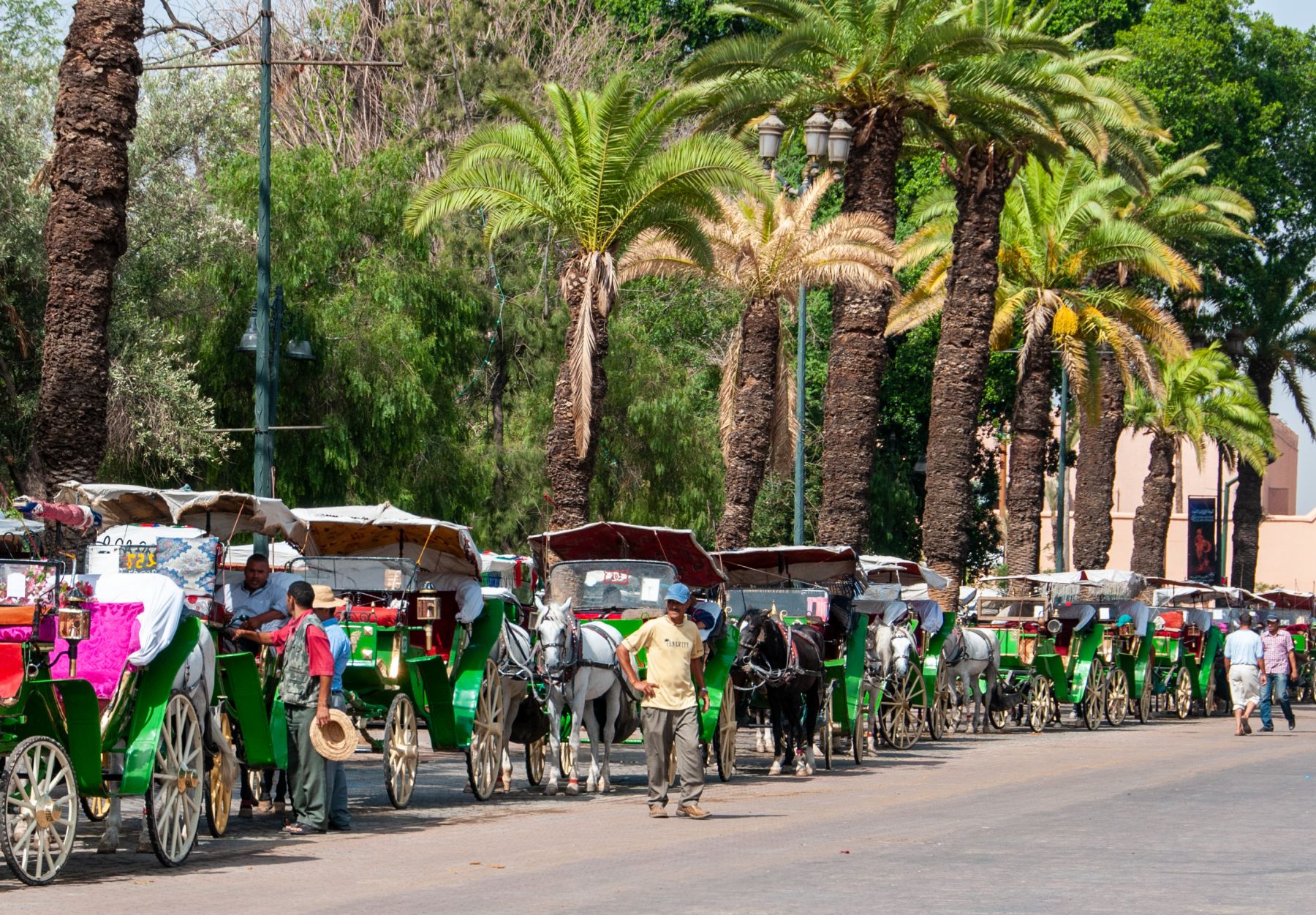 Marrakech_6